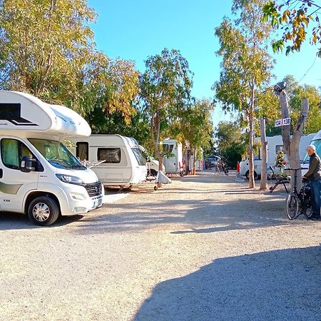 Camping La Naranja Hotel Gandia Exterior photo