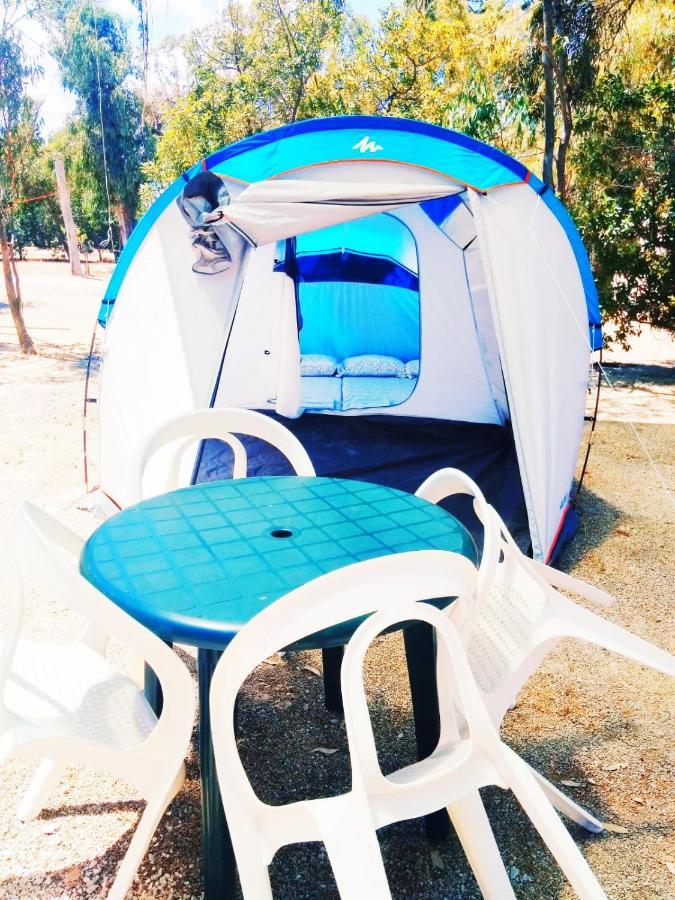 Camping La Naranja Hotel Gandia Exterior photo